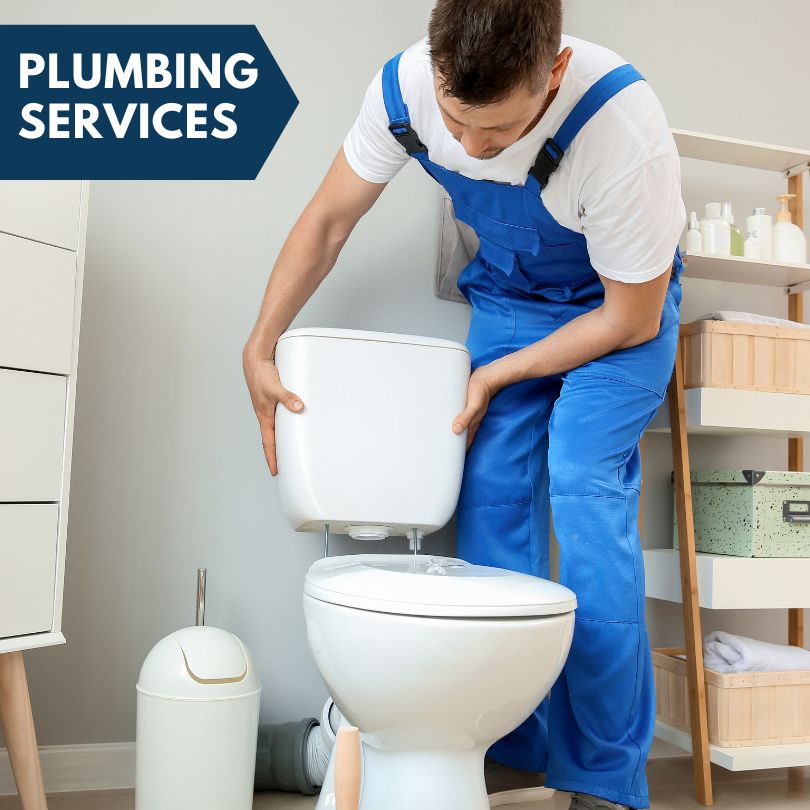 Plumbing Company in Marne, MI